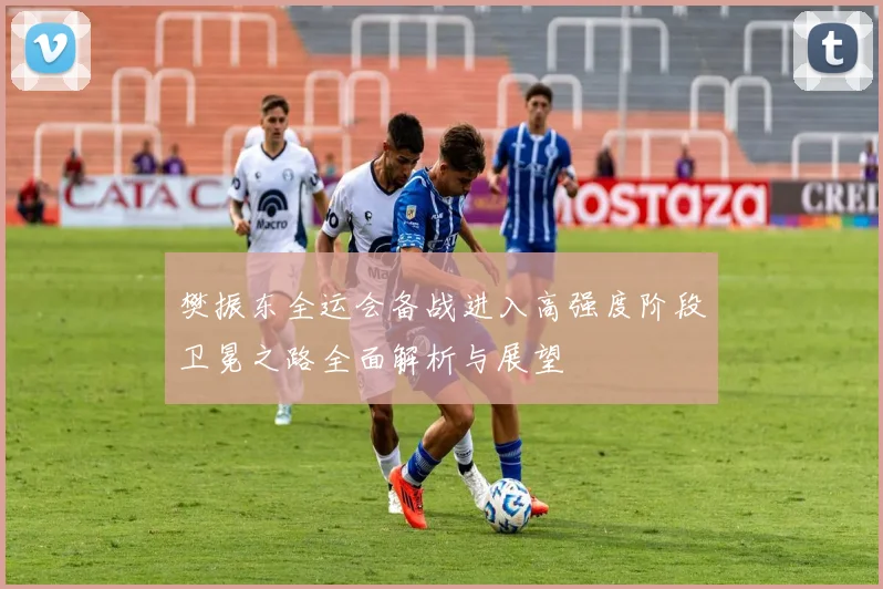 樊振东全运会备战进入高强度阶段卫冕之路全面解析与展望